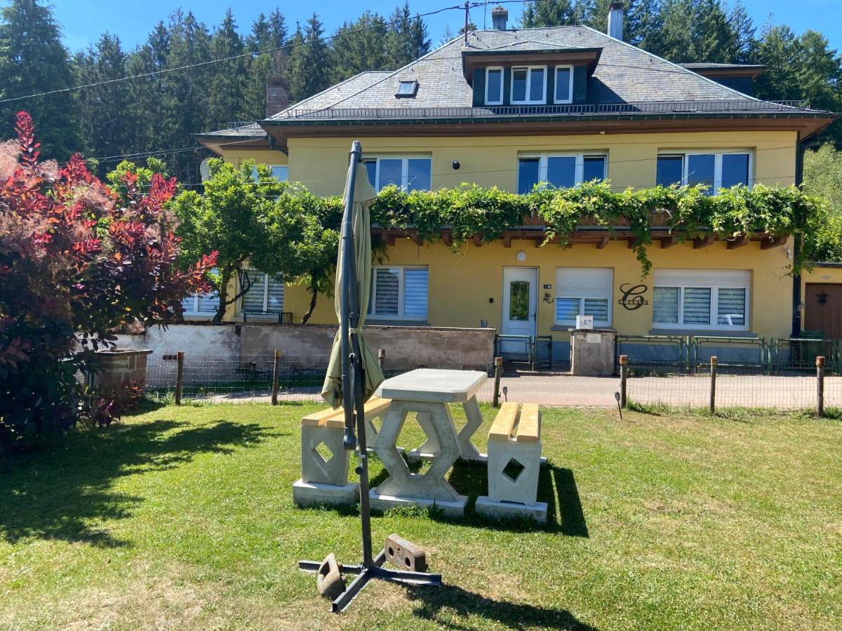 Le Clara Villa Saulxures Exterior photo
