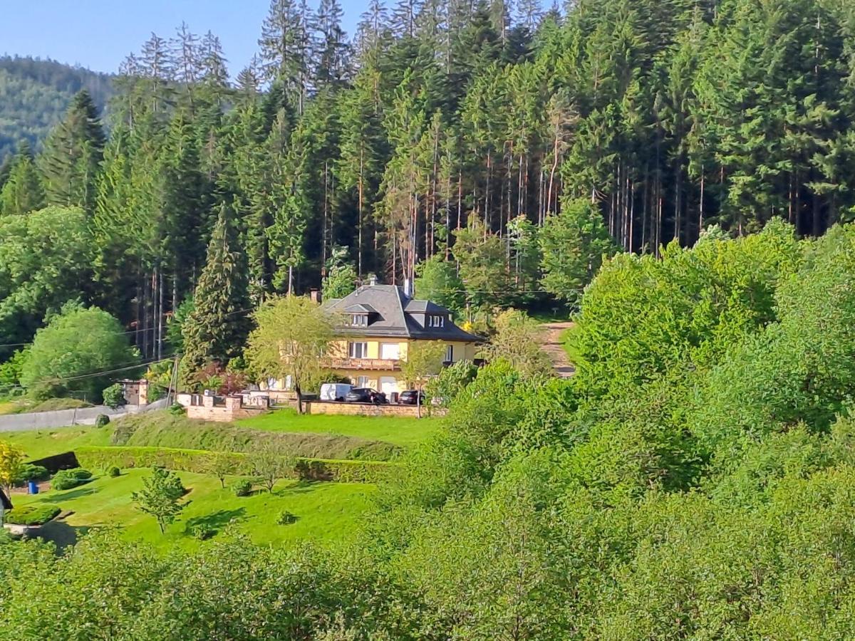 Le Clara Villa Saulxures Exterior photo